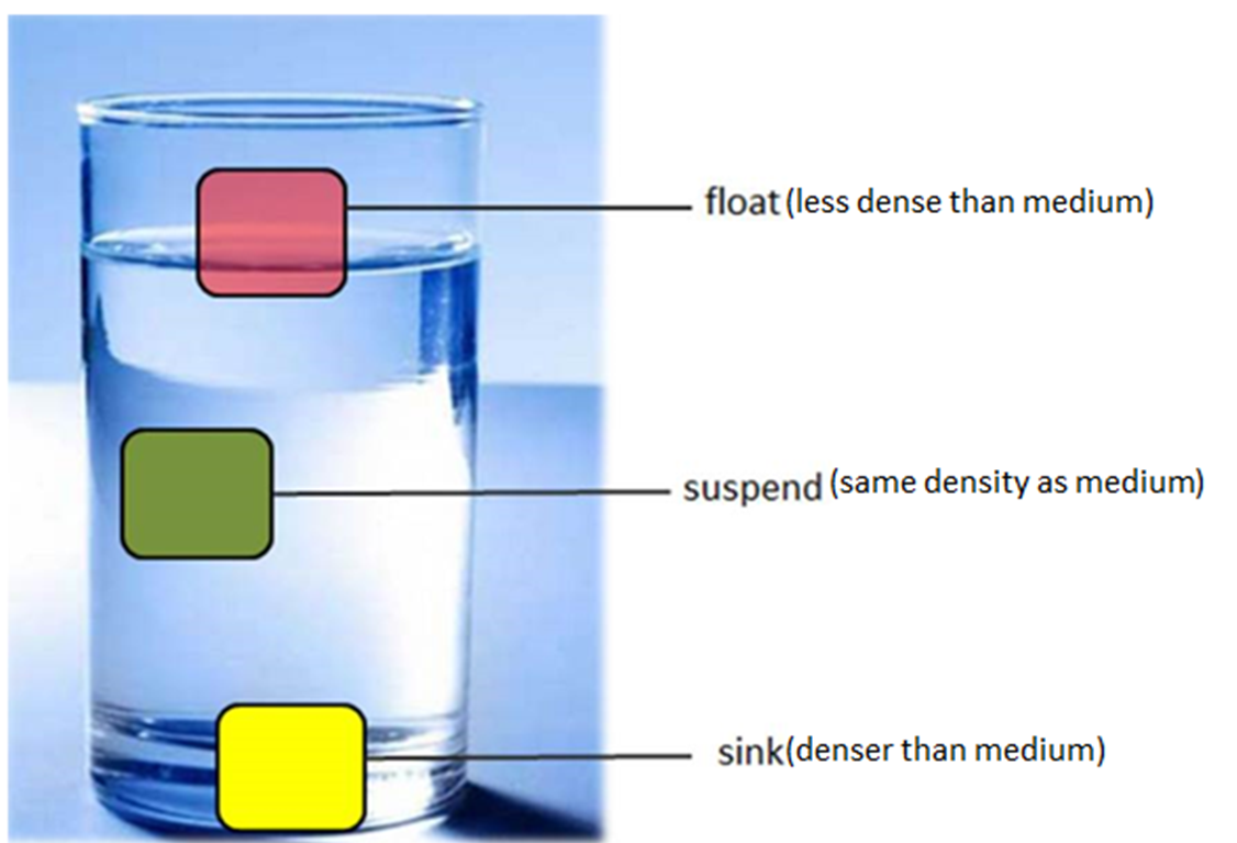 Density Sink Float Or Suspend Science Is Fun